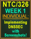 NTC/326 DNS Server Part 1